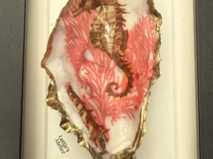 oester zeepaardje